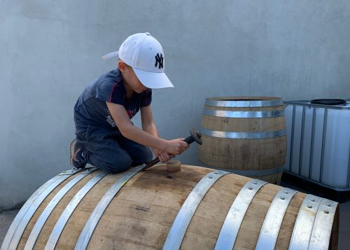 Photos-Famille---Domaine-d'Arbousset-4